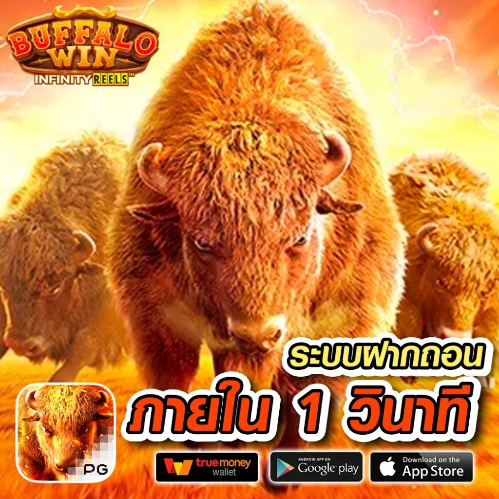 Slot66 คาสิโนออนไลน์ยอดนิยม สมัครรับโปรโมชั่นสุดคุ้มวันนี้