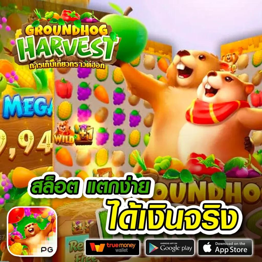 terra999 คาสิโนออนไลน์มาแรง จับใจสายเดิมพันอันดับ 1